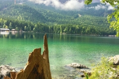 Eibsee Sommer